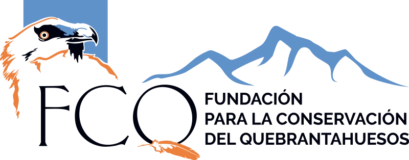 Fundación para la Conservación del Quebrantahuesos — Aínsa · Aínsa